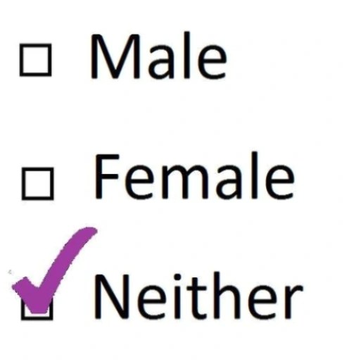 Who Am I? The redefining of&nbsp;gender